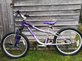 specialized hotrock 20 age range